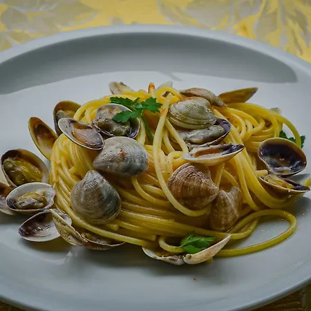 酒店 斯特拉迪奥特酒店 3*