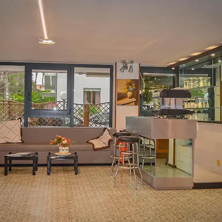 斯特拉迪奥特酒店 里米尼