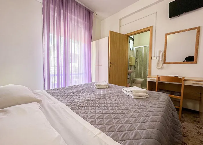 酒店 斯特拉迪奥特酒店 里米尼